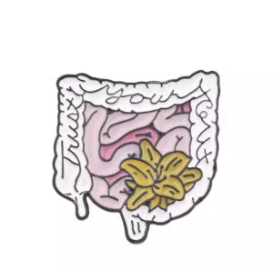 Trust your guts pin