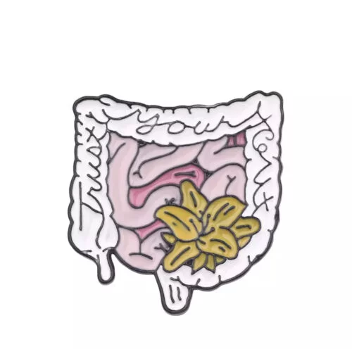 Trust your guts pin