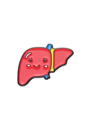 Cute liver pin